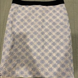 Ann Taylor Pencil Skirt